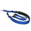 Jelly Pet Belly Band Royal Blue -Pawfect Care Store 16jpe068 9ica876oxiieudyp