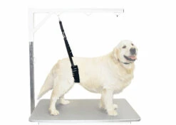 Show Tech Comfort Bellyband For Big Dogs -Pawfect Care Store 16ste030 1 tdtocfrivwormo1d