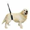 Show Tech Comfort Bellyband For Big Dogs -Pawfect Care Store 16ste030 9uqgvnr3vdcl9kxy