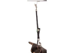 Show Tech Professional Grooming Noose Set Mini 1,5 Cm -Pawfect Care Store 16ste043 32x tl23x20o8mkl6gzp