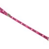 Show Tech Grooming Noose With Pawprint Hot Pink 55 X 1.5 Cm -Pawfect Care Store 16ste059 ata4jtxqjozuydjo