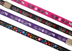 Show Tech Grooming Noose Flower Power 45 X 1.5 Cm -Pawfect Care Store 16ste062 2 0pgcxc9saqtrtcwy