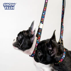 Show Tech Grooming Noose Flower Power 45 X 1.5 Cm -Pawfect Care Store 16ste062 rskuiinl3tt4fndz