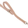 Show Tech Grooming Noose Rose Gold 60 X 1 Cm -Pawfect Care Store 16ste067 2 v6pznk5oxdnb0uo9