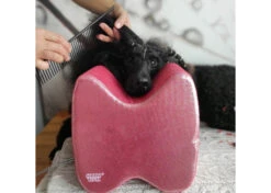 Show Tech Topknot Cushion Glitzy Purple - S -Pawfect Care Store 16ste071 4 1 fj8n6vbnmhvipuko