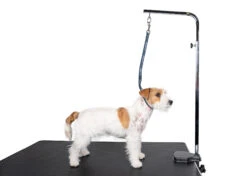 Show Tech Adjustable Control Post