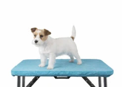 Show Tech+ Table Toga Turquoise Large For Table 110x60cm