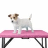 Show Tech+ Table Toga Hot Pink Large For Table 110x60cm -Pawfect Care Store 16stp009 8t53plgwtdrgz3yn