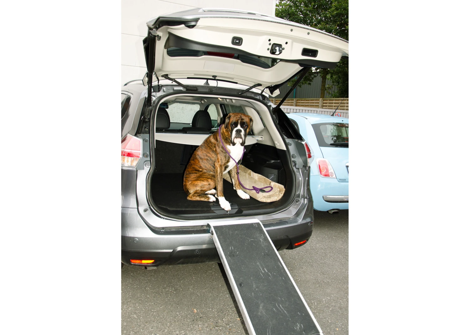 Travel Aluminium Pet Ramp 38cm Wide - Extends 91,5-183cm 4 Travel Aluminium Pet Ramp 38cm Wide - Extends 91,5-183cm - Image 2