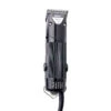 Oster A5 Single Speed Corded Clipper -Pawfect Care Store 21ost001 12x gw1frfe179jxv5wi