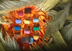 Show Tech Pro Blades SS Snap-on Comb Set 9 Pcs -Pawfect Care Store 21ste073 7 fmurvydenhd2orsn