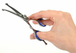 Show Tech Safety Scissor Curved 12 Cm - 5" -Pawfect Care Store 22ste085 5 r3hczxjcsizvmd7g