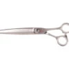 Yento Ergo Line Series 20cm - 7 3/4" Wide Blade - Straight Scissor -Pawfect Care Store 22yen056 twvvjp801ua0oplq