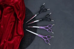 Yento Sparkle Series Straight Scissors Black 16,5 Cm - 6,5" -Pawfect Care Store 22yen088 4 3 jp4degaddrawjg3n