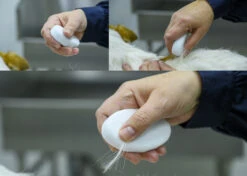 Show Tech Groom Stone Oval White 8.5 X 4.9 X 2 Cm -Pawfect Care Store 23ste058 3 hsn4od0kgdxcl7vi