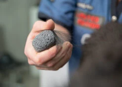 Show Tech Groom Stone Dark Grey 8 X 4 X 3 Cm -Pawfect Care Store 23ste061 3 qi90ch4xfswd9get