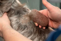 Show Tech Groom Stone Dark Brown 8 X 4 X 3 Cm -Pawfect Care Store 23ste062 5 8tweabnib3var9xg