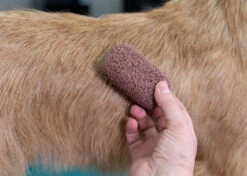Show Tech Groom Stone Dark Brown 8 X 4 X 3 Cm -Pawfect Care Store 23ste062 7 vlha8x5hazhtyssq
