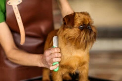 The Sentinel Commercial Stripper W8 Slim Left-Handed -Pawfect Care Store 23tse026 3 ptijmmhhpuoxb74h