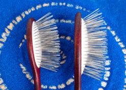 Show Tech Maxi Pin Brush Large 23 Cm - Extra Long Pin 3 Cm -Pawfect Care Store 24ste003 0031 3 xa3u6pa19i2i9ozi