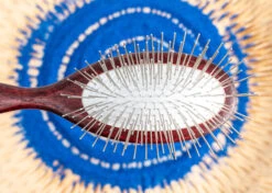 Show Tech Maxi Pin Brush Large 23 Cm - Extra Long Pin 3 Cm -Pawfect Care Store 24ste003 2 usaurykhkyrwhu5q