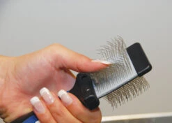 Show Tech Twin-Flex Slicker Small Slicker Brush 15 Show Tech Twin-Flex Slicker Small Slicker Brush -Pawfect Care Store 25ste016 5 gw3h4c3xyrtsncai