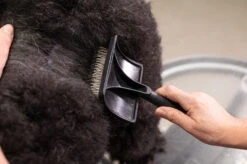 Yento Mega Pin Slicker Large Slicker Brush -Pawfect Care Store 25yen002 2 afj9woz09uyncsdi