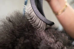 Yento Mega Pin Slicker Large Slicker Brush -Pawfect Care Store 25yen002 6 gitxjocokuxkwodj