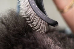 Yento Mega Pin Slicker Large Slicker Brush -Pawfect Care Store 25yen002 7 nxjcmwjyynzsjkuz