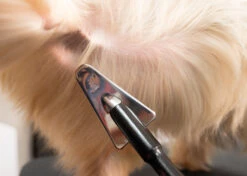 Yento Show Coat Slicker With Extra Long Handle - Triangular -Pawfect Care Store 25yen010 1 1 p9memjvjnwpggecj