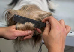 Show Tech Antistatic Carbon Needle Comb 22cm -Pawfect Care Store 26ste047