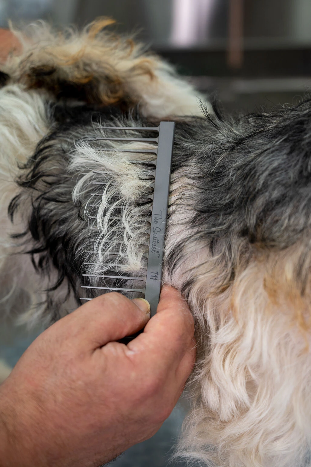 The Sentinel T11 Heavy Duty Comb Wide 17 Cm 3 The Sentinel T11 Heavy Duty Comb Wide 17 Cm