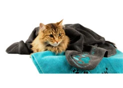 Show Tech+ Microfibre Towel Grey 56x90cm -Pawfect Care Store 33stp001 22x dxgmaicq8oq4ha8k