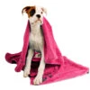 Show Tech+ Microfibre Towel Hot Pink 56x90cm 2 Show Tech+ Microfibre Towel Hot Pink 56x90cm -Pawfect Care Store 33stp012 42x rgwyqynf8z2c6okk