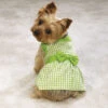 East Side Collection Gingham Dress Parrot Green M 30-40cm Attire -Pawfect Care Store 35esc006 12x xpfaoe0nce0xjvny