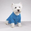 East Side Collection Preppy Puppy Polo Cape Blue XL 50-60cm Attire 2 East Side Collection Preppy Puppy Polo Cape Blue XL 50-60cm Attire -Pawfect Care Store 35esc012 12x d4sbyvk8nfvcsyii