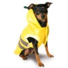 Max+Co Bee Jacket Yellow XXS - 15cm Attire -Pawfect Care Store 35m26c098 12x 8zjaccwipgnupp5n