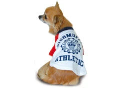 Max+Co Stafmuffin Athletic Shirt White XS Attire