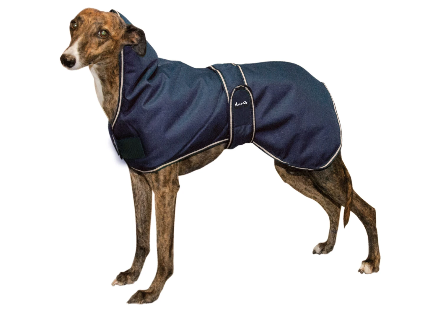 Max+Co All Weather Dog Coat"Slim Fit" Navy Blue 75cm Coat 3 Max+Co All Weather Dog Coat"Slim Fit" Navy Blue 75cm Coat