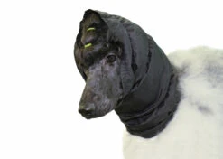Show Tech Snood Small Black Ear Covers
