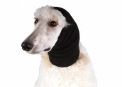 Show Tech Ear Buddy Black Large