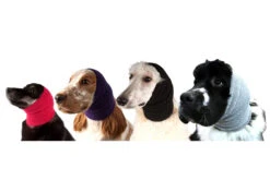 Show Tech Ear Buddy Pro Pack