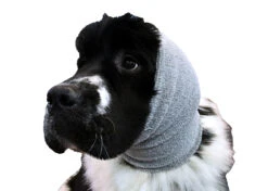 Show Tech Ear Buddy Grey XLarge