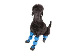 Show Tech Protector Boots 4PCS Small Paw Protection -Pawfect Care Store 35ste086 52x v8wnwxr4bvgsvwos