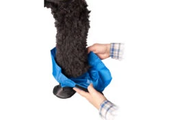 Show Tech Protector Boots 4PCS Medium Paw Protection -Pawfect Care Store 35ste087 32x 56duc5itvat2vhg6