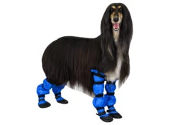 Show Tech Protector Boots 4PCS Large Paw Protection -Pawfect Care Store 35ste088 tsl0nd5rcu9yz1ep