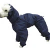 Show Tech Water Resistant Trouser Suit - Short Legged 25cm Coat Protection -Pawfect Care Store 35ste131 1 qccakkx5bbaoshzo
