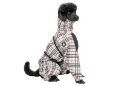 Show Tech Water-Resistant Trouser Suit Arabella 45 Cm -Pawfect Care Store 35ste145 4 r2gobwpdomw77lzq