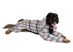 Show Tech Water-Resistant Trouser Suit Arabella 45 Cm -Pawfect Care Store 35ste145 a6wnjkmkwi4bknda