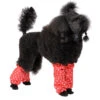 Show Tech Leggings Polka Dots For Middle-Sized Poodle 1 Show Tech Leggings Polka Dots For Middle-Sized Poodle -Pawfect Care Store 35ste158 2 cmlgyjvp4zqxvhlg